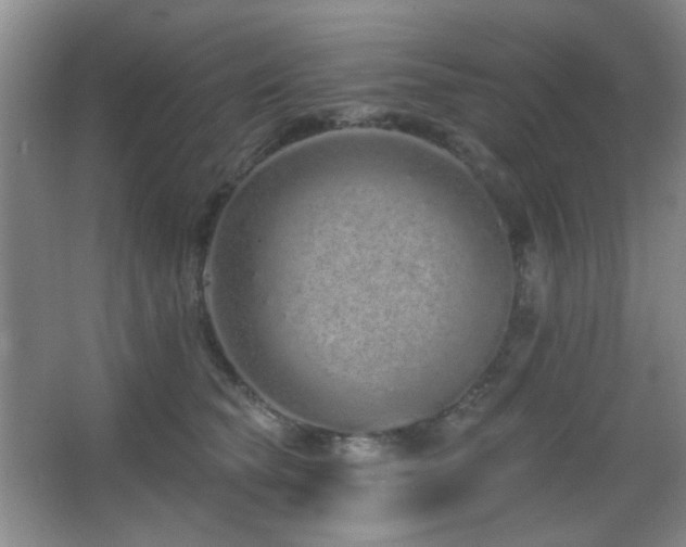 X0000067330565200603311103