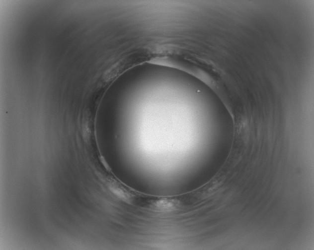 X0000067330566200603311103