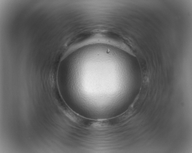 X0000067330568200603311103