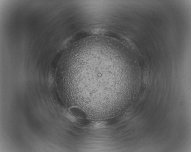 X0000067330569200603311103