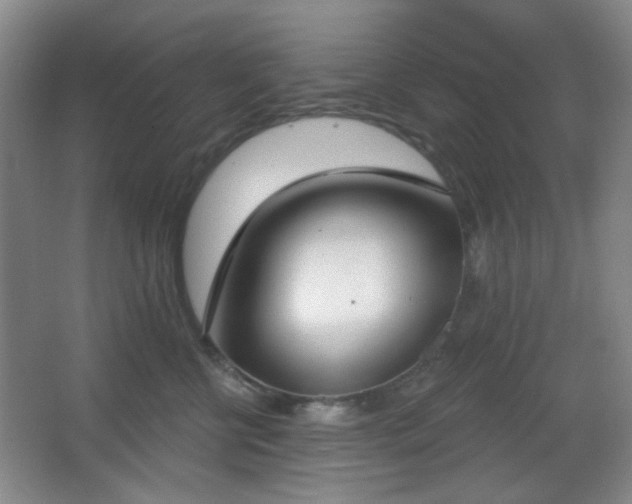 X0000067330570200603311103