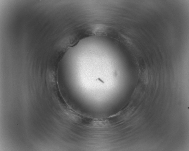 X0000067330571200603311103