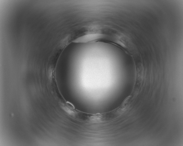 X0000067330574200603311103