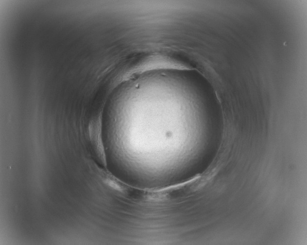 X0000067330576200603311103