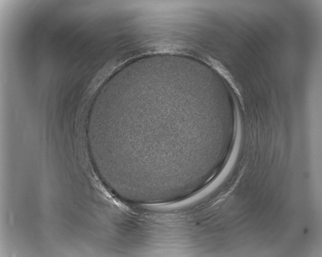 X0000067330577200603311102