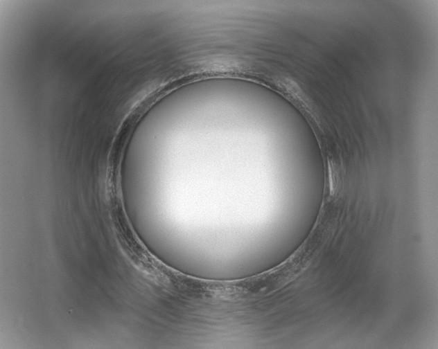 X0000067330579200603311102