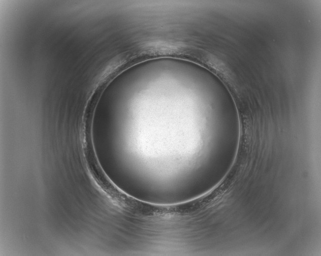 X0000067330582200603311102
