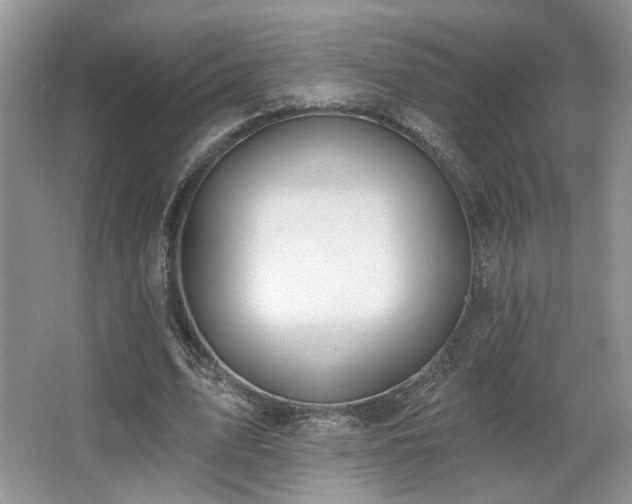 X0000067330583200603311102