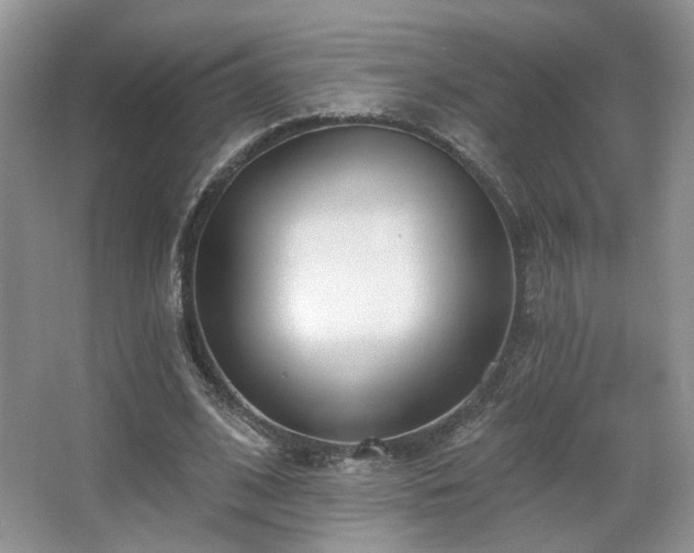 X0000067330584200603311102