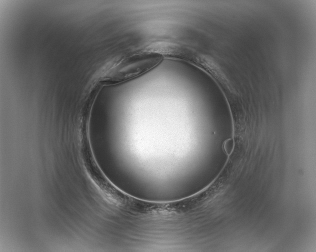 X0000067330586200603311102