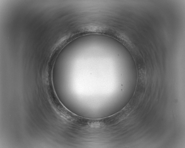 X0000067330587200603311102