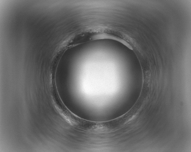 X0000067330589200603311102