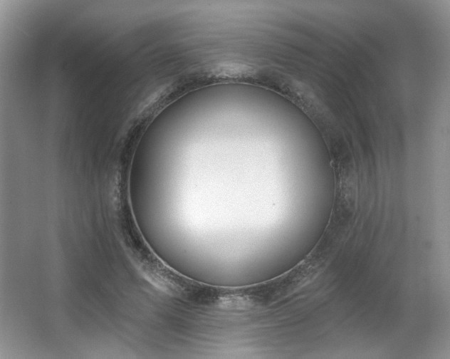 X0000067330591200603311102