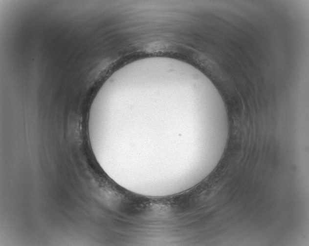 X0000067330592200603311102