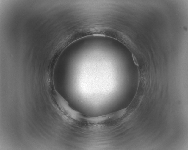 X0000067330593200603311102
