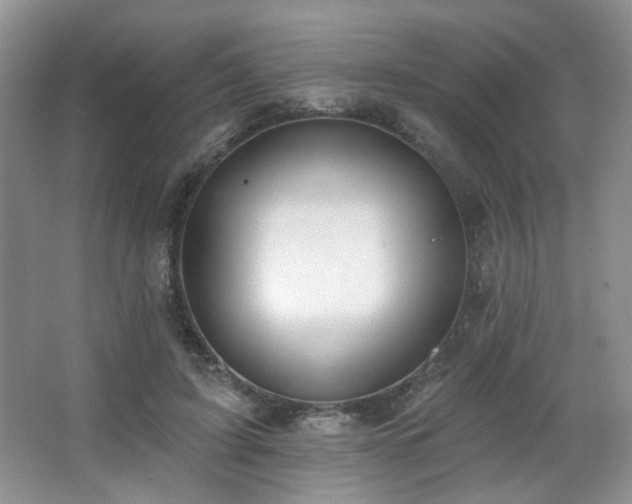 X0000067330595200603311102