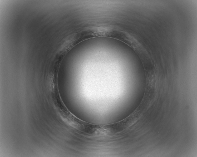 X0000067330599200603311102