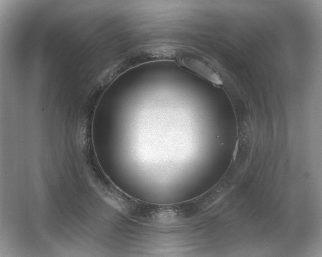 X0000067330600200603311102