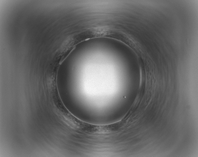X0000067330601200603311102