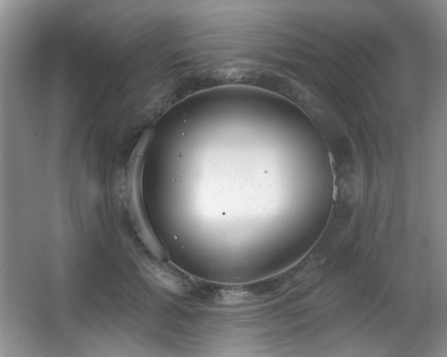 X0000067330605200603311102