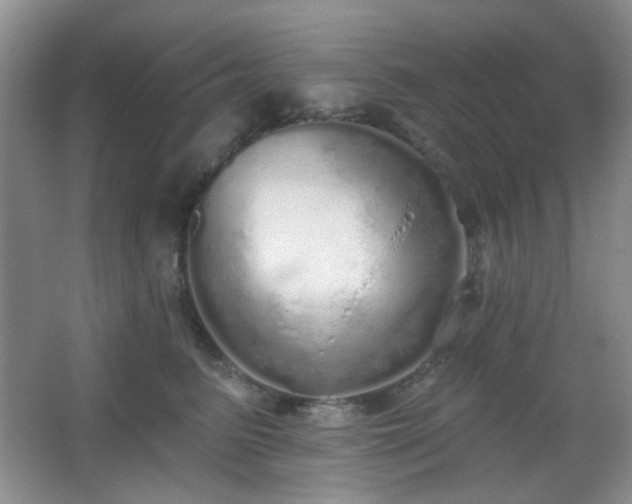 X0000067330615200603311102