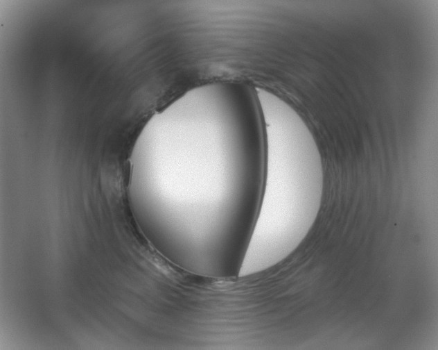 X0000067330617200603311102