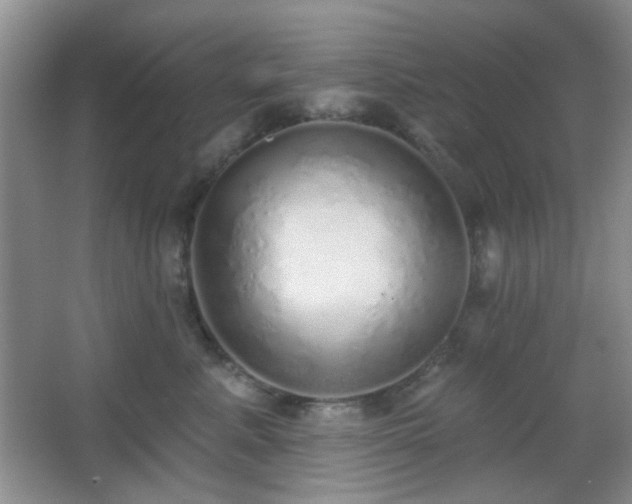 X0000067330619200603311102