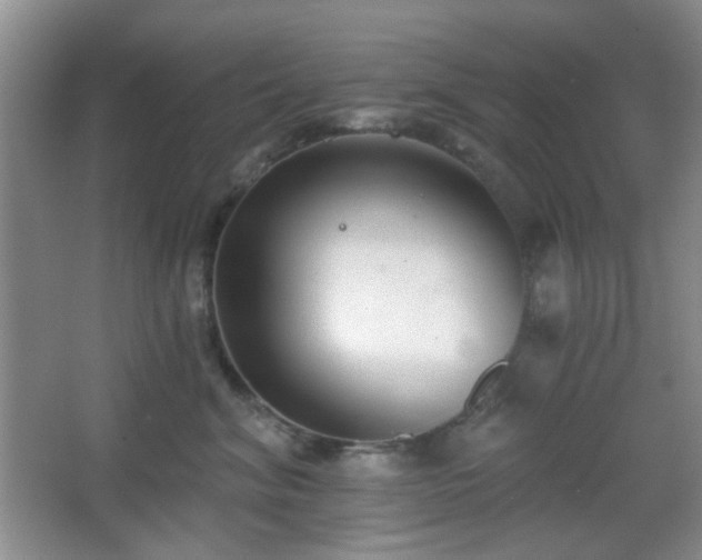 X0000067330620200603311101