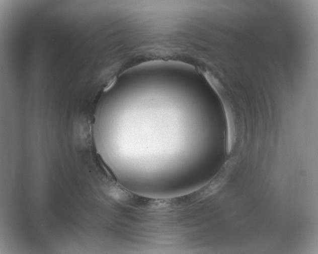 X0000067330624200603311101