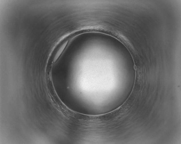 X0000067330628200603311101