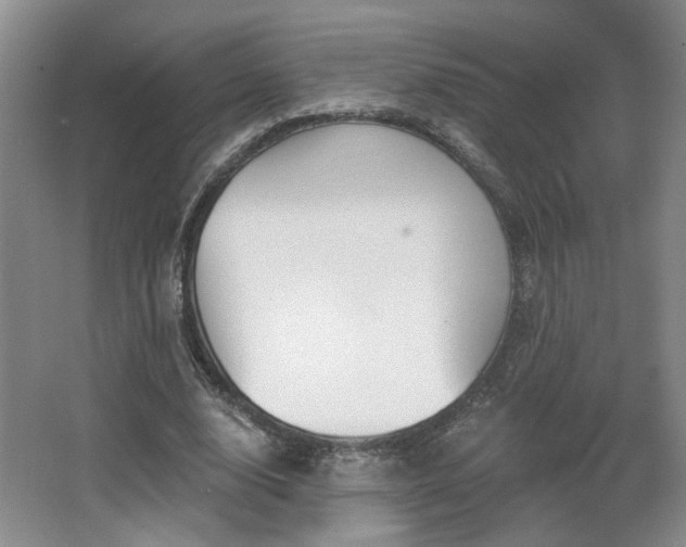 X0000067330632200603311101