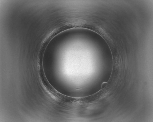 X0000067330634200603311101