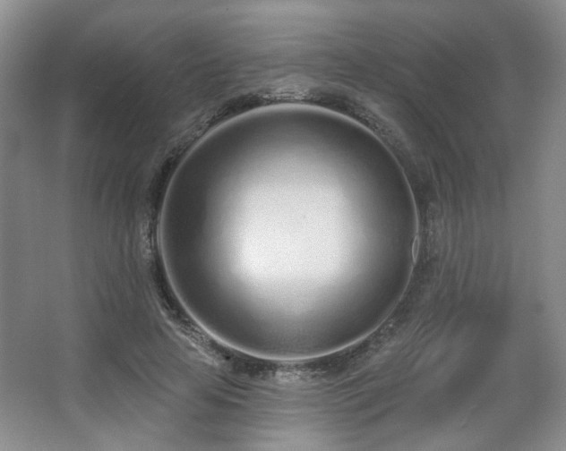 X0000067330641200603311101