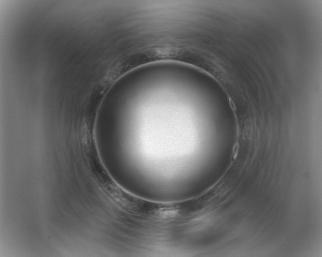 X0000067330651200603311101