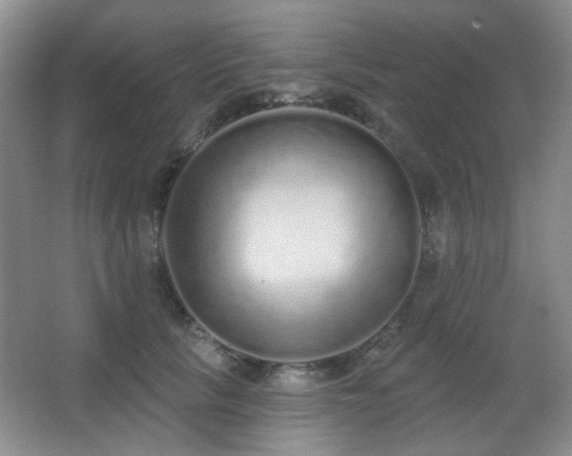 X0000067330657200603311101