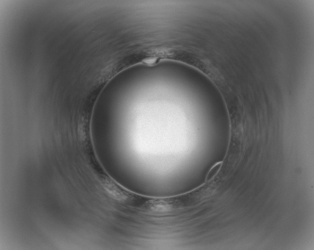 X0000067330658200603311101