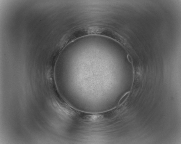 X0000067330663200603311101