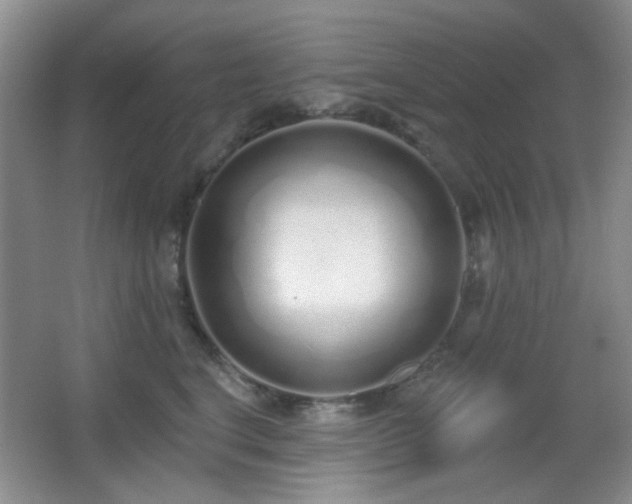 X0000067330664200603311101
