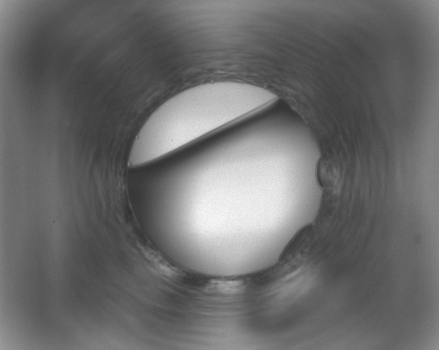 X0000067330665200603311101