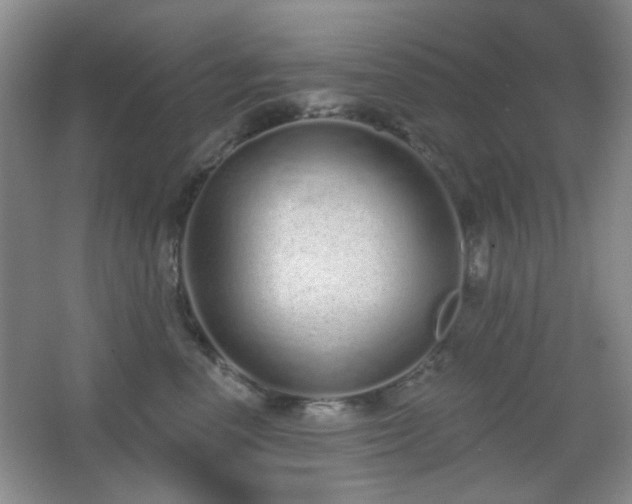 X0000067330666200603311101