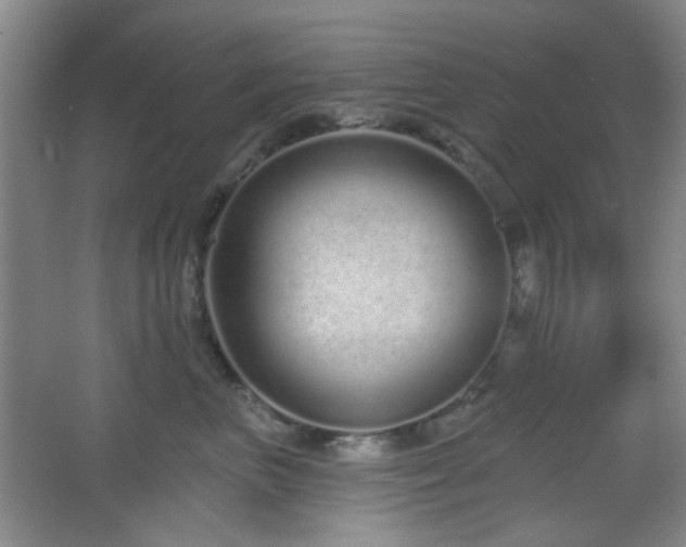 X0000067330667200603311101
