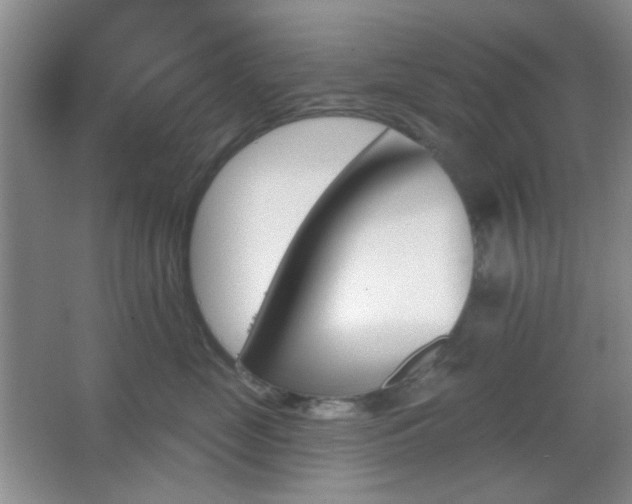X0000067330669200603311101