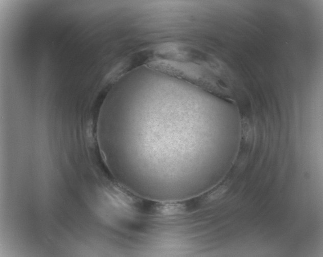 X0000067330670200603311101