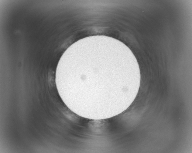 X0000067330672200603311101