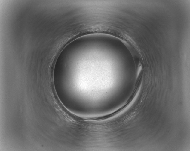 X0000067330673200603311101