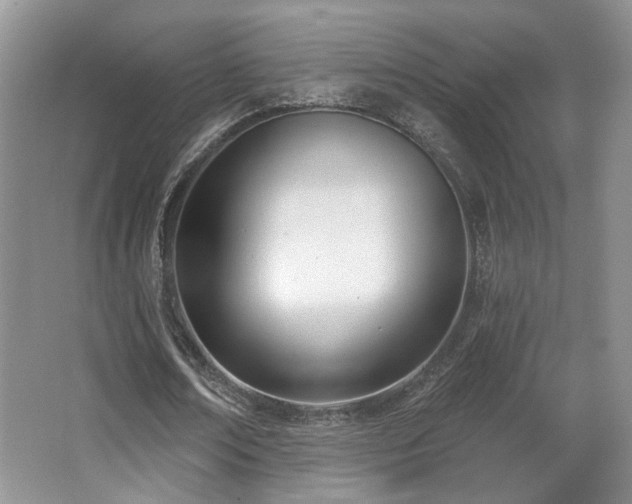X0000067330674200603311101