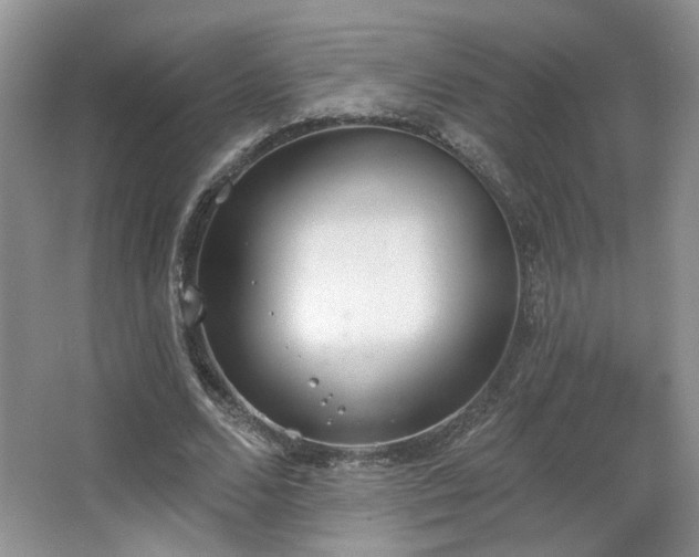 X0000067330680200603311100