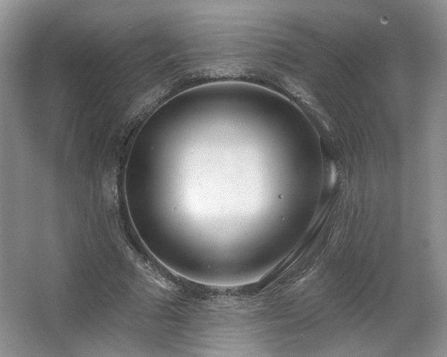 X0000067330681200603311100
