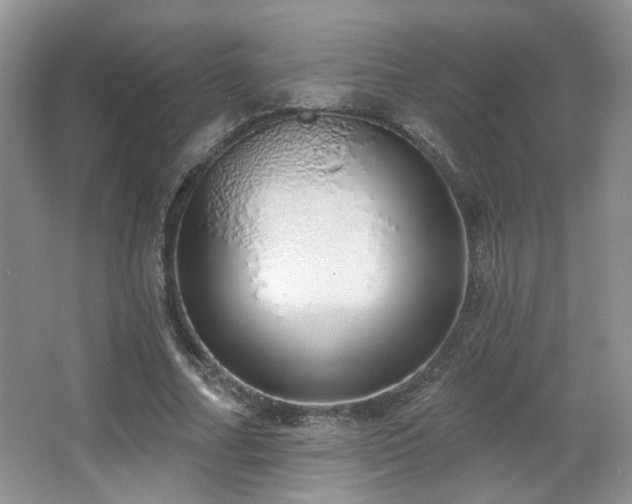 X0000067330682200603311100