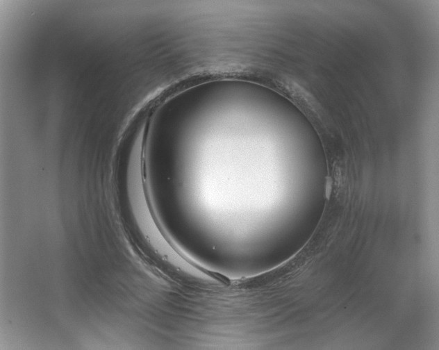 X0000067330684200603311100